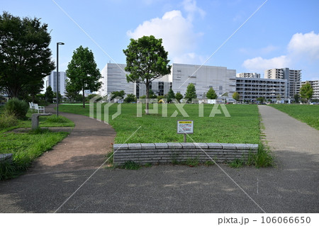 湘南のショッピングモールと公園 湘南のショッピングモールと公園 106066650