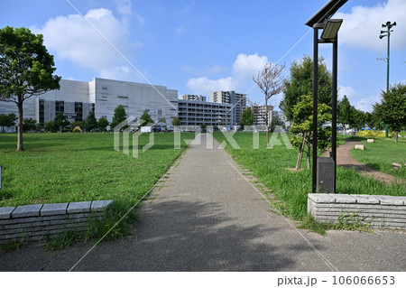 湘南のショッピングモールと公園 湘南のショッピングモールと公園 106066653