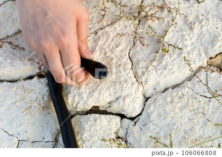 A man's hand holds a snake by the head in the desert, close-up A man's hand holds a snake by the head in the desert, close-up 106066808