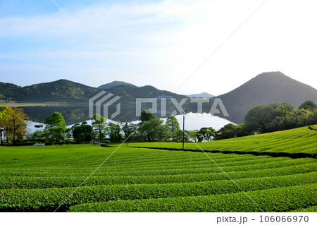 藺牟田池 藺牟田池 106066970