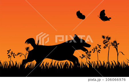 Dog with butterfly, dog and butterflies 106066976