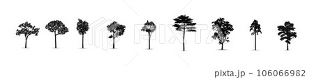 Set of tree silhouettes, vector silhouette of tree Set of tree silhouettes, vector silhouette of tree 106066982