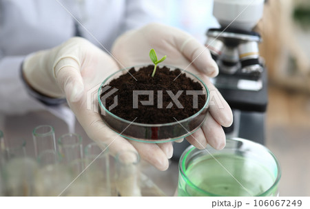 Scientists experimenting with sprout in lab 106067249