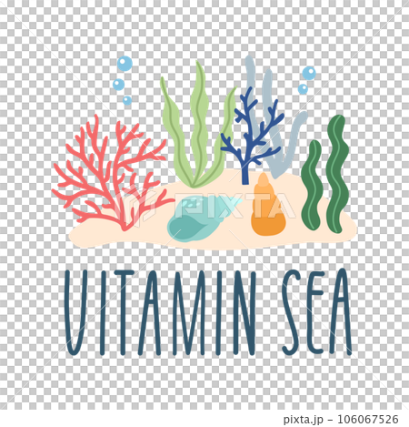 Lettering quote sea life, ocean, beach, summer vacation with cartoon seashell, seaweed, coral illustration. Poster, print, postcard, sticker on a marine theme. Vitamin sea. Vector illustration Lettering quote sea life, ocean, beach, summer vacation with cartoon seashell, seaweed, coral illustration. Poster, print, postcard, sticker on a marine theme. Vitamin sea. Vector illustration 106067526