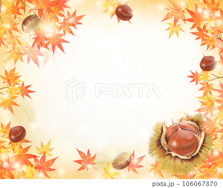 もみじやカエデやどんぐりなどの秋のオシャレな白バックフレーム 106067870