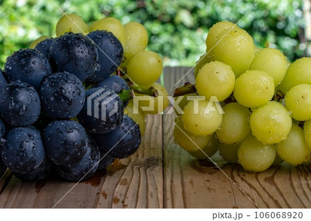 水に濡れたナガノパープルとシャインマスカットの板の上の写真 106068920