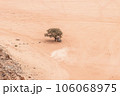 Planet Mars like landscape - Photo of Wadi Rum desert in Jordan with red pink sky above, this location was used as set for many science fiction movies 106068975