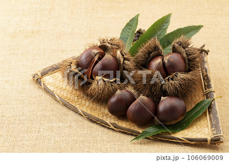 扇形のざるに置いたいが栗_背景麻布 106069009