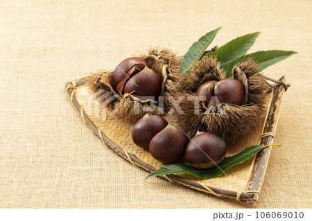 扇形のざるに置いたいが栗_背景麻布 扇形のざるに置いたいが栗_背景麻布 106069010