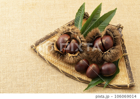 扇形のざるに置いたいが栗_背景麻布 106069014