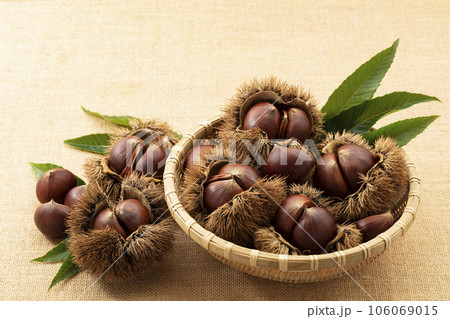 深ざるに入れたいが栗_背景麻布 106069015
