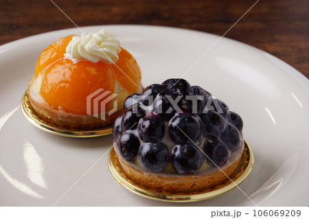 ブルーベリータルトケーキ 106069209