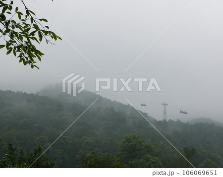 自然 天然 ナチュラル 106069651