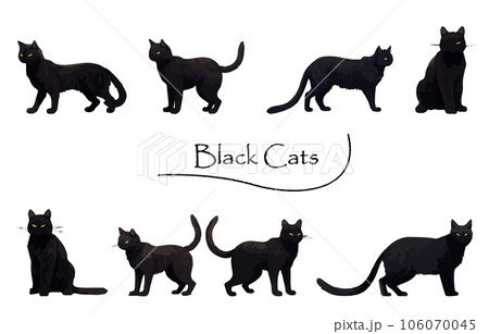 リアルな黒猫のイラストセット_塗りのイラスト素材 [106070045] - PIXTA