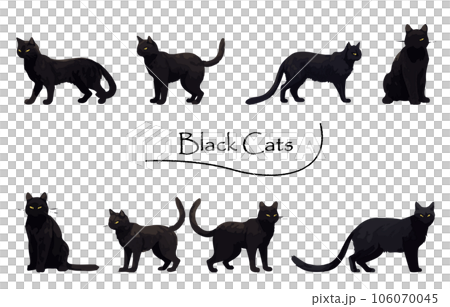 リアルな黒猫のイラストセット_塗りのイラスト素材 [106070045] - PIXTA