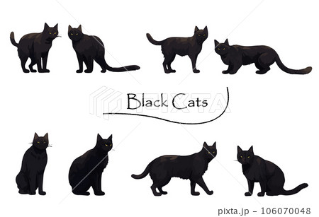 リアルな黒猫のイラストセット_塗りのイラスト素材 [106070048] - PIXTA