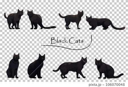 リアルな黒猫のイラストセット_塗りのイラスト素材 [106070048] - PIXTA