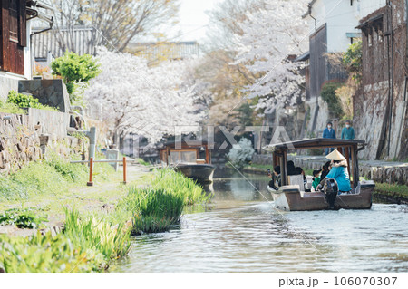 滋賀県近江八幡市　屋形船で八幡堀めぐりと桜を楽しむ 106070307