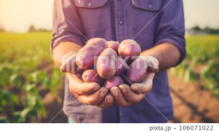 Farmers hands with bio potatoes 106071022