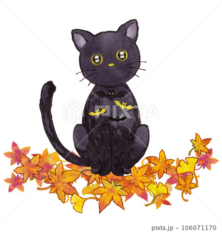 秋のイベントハロウィンの黒猫のイラスト素材 [106071170] - PIXTA