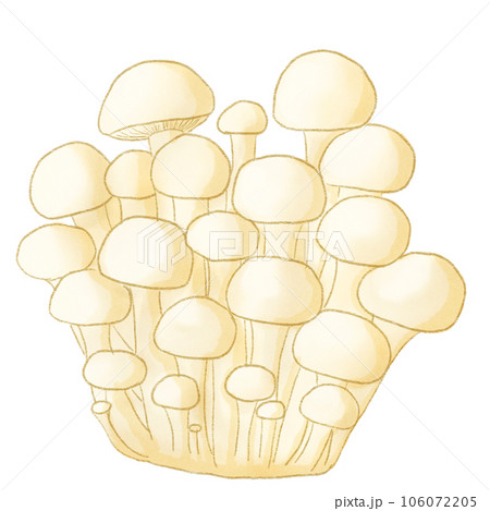 Shimeji mushrooms Shimeji mushrooms 106072205