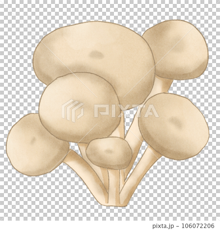 Oyster mushrooms Oyster mushrooms 106072206