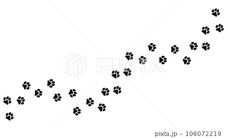 Track of paw footprints from a cat, tiger, lion, jaguar, panther, leopard, snow bars, cougar, cheetah, felines. Silhouette diagonal track. Vector. For pet shop, textiles, print on clothes 106072219