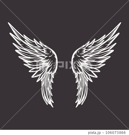 Vector Wings Icon. Vintage Angel Wings Icon, - Stock Illustration