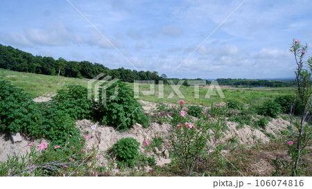 Banchang district Banchang district 106074816