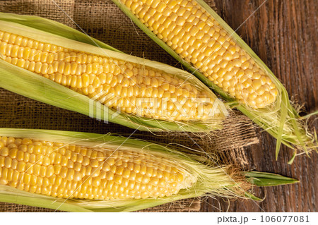 Corn on a brown wooden background 106077081