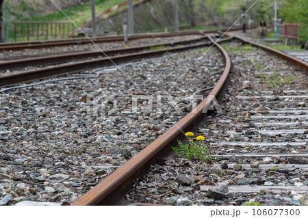 奥飛騨　レールマウンテンバイク　まちなかコースの風景 106077300
