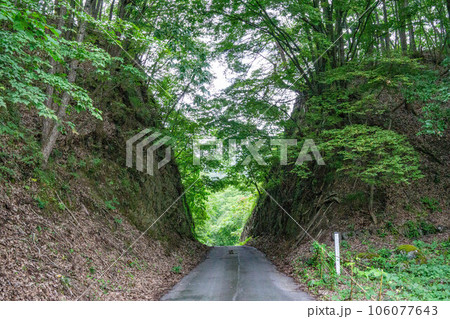 鬼越切通し 106077643