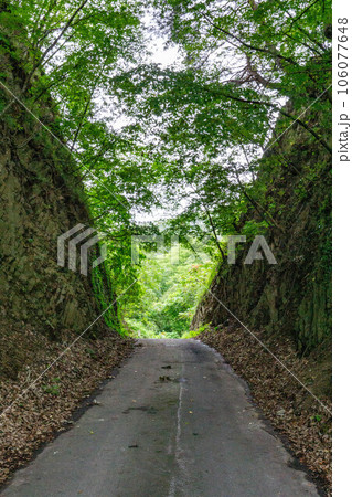 鬼越切通し 106077648