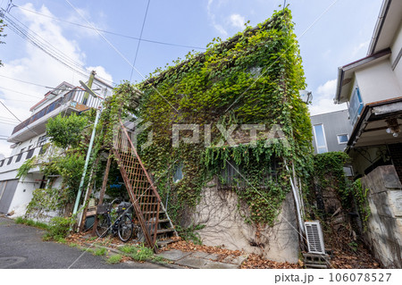 蔦に覆われた2階建ての廃屋 106078527