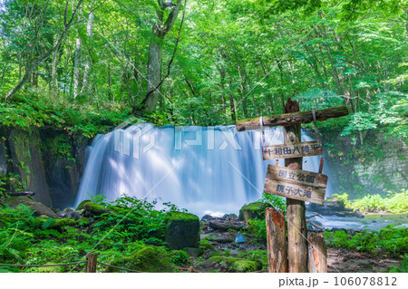 「青森県」緑に包まれた夏の銚子大滝 奥入瀬渓流 「青森県」緑に包まれた夏の銚子大滝 奥入瀬渓流 106078812