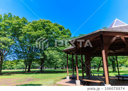 東京　渋谷区　初夏の代々木公園（六角の休憩舎） 106078874
