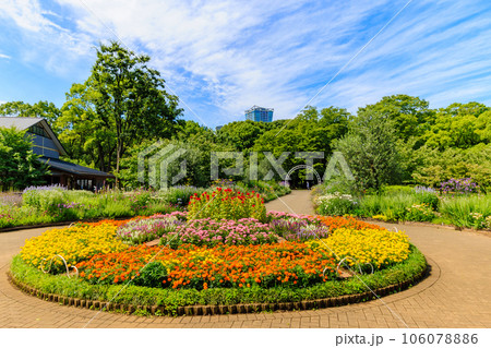 東京 渋谷区 初夏の代々木公園(オリンピック記念の宿舎前の花壇) 東京 渋谷区 初夏の代々木公園(オリンピック記念の宿舎前の花壇) 106078886