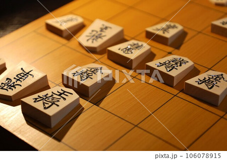 将棋(名人戦第3局投了時の棋譜) 将棋(名人戦第3局投了時の棋譜) 106078915