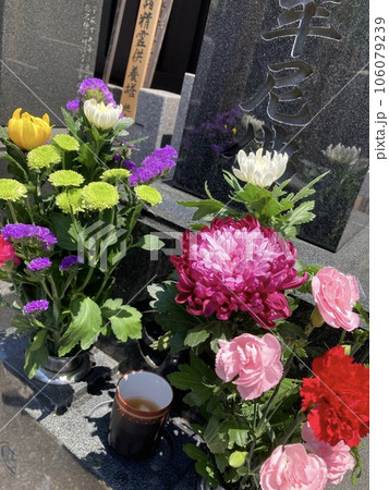 お盆のお墓参りで仏花をお供え お盆のお墓参りで仏花をお供え 106079239