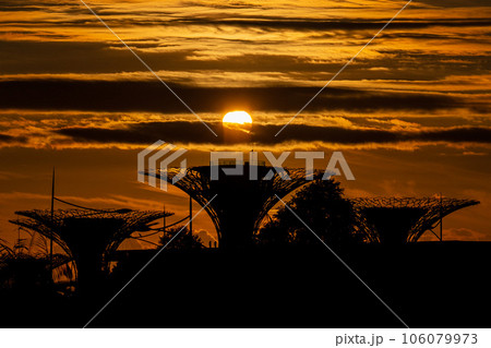 【シンガポール】ガーデンズ・バイ・ザ・ベイのスーパーツリーグローブと朝日 106079973