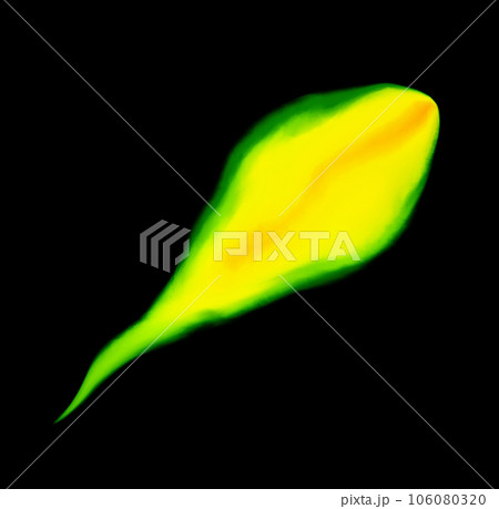 火の玉、魂、生前、光の玉	 106080320