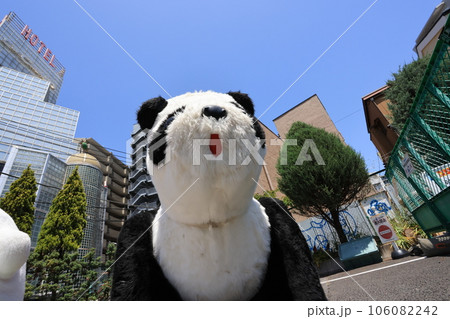 panda car in Tokyo, in Hanayashiki, Hanayashiki is one of oldest amusement park in Japan. panda car in Tokyo, in Hanayashiki, Hanayashiki is one of oldest amusement park in Japan. 106082242