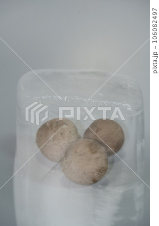 氷柱の中のブラウンマッシュルーム 106082497