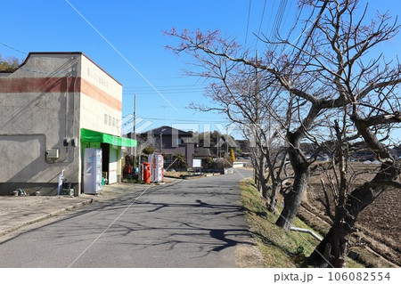 茨城 稲敷 丸ポストのある風景(岡野商店) 茨城 稲敷 丸ポストのある風景(岡野商店) 106082554