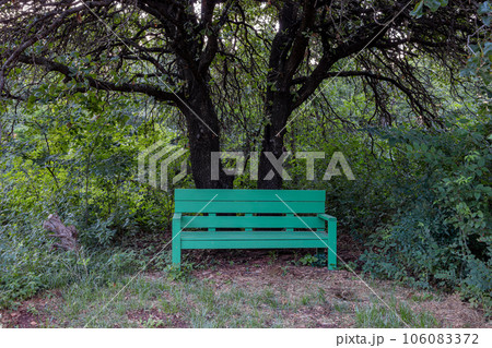Night view of the Mitch Park 106083372