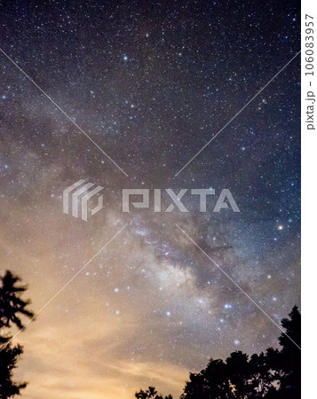 Blue dark night sky with many stars above field of trees. 106083957