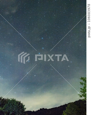 Blue dark night sky with many stars above field of trees. 106083978