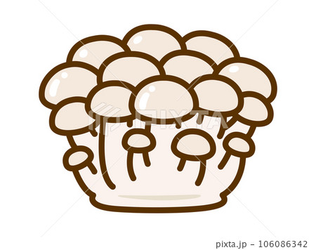 白いシメジのイラスト 白いシメジのイラスト 106086342