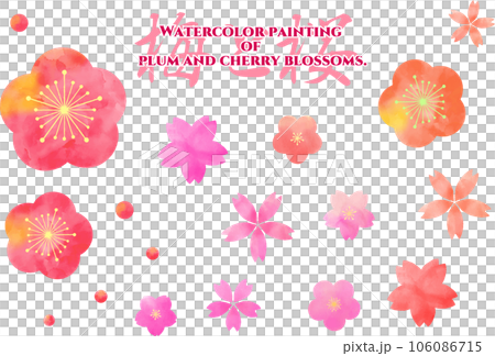 Plum and cherry watercolor set. Plum and cherry watercolor set. 106086715