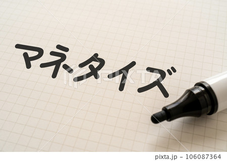 マネタイズと書かれたノートとマーカー マネタイズと書かれたノートとマーカー 106087364